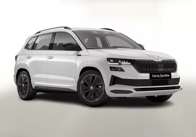 Angebotsdetails Skoda Karoq TDI NavCol vEHK Weiß