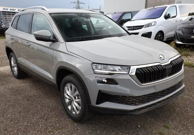 Angebotsdetails Skoda Karoq TSI 150 Selection VirC SunS Grau