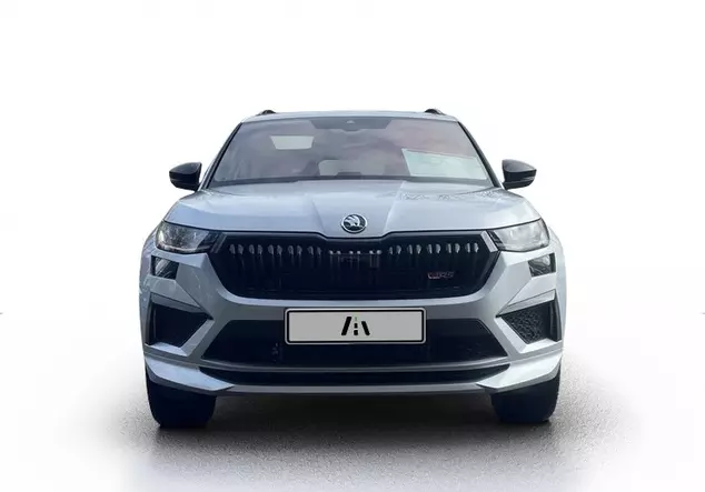 Angebotsdetails Skoda Kodiaq RS 2.0 TSI Silver/Grey