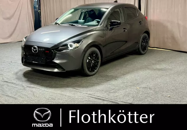 Angebotsdetails Mazda 2 grau