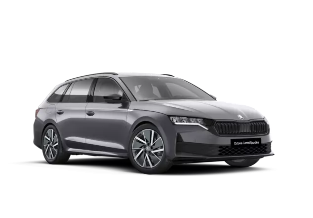 Angebotsdetails Skoda Octavia Graphite-Grau Metallic