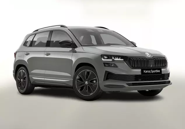 Angebotsdetails Skoda Karoq TSI NavCol vEHK Grau