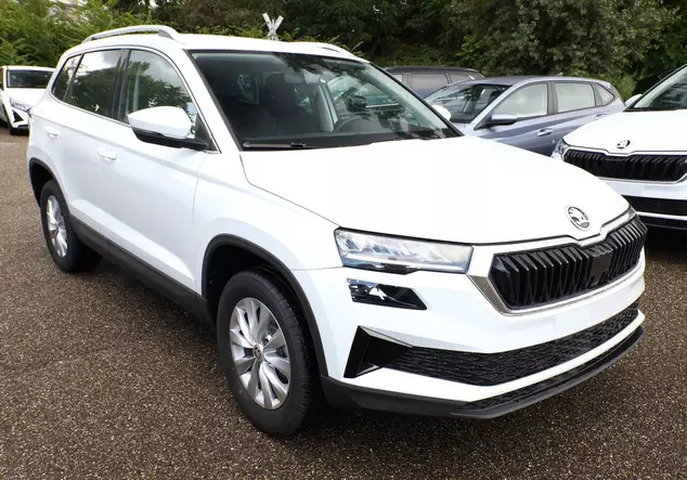 Angebotsdetails Skoda Karoq TDI 116 Selec VirC SunS LaneA Weiß