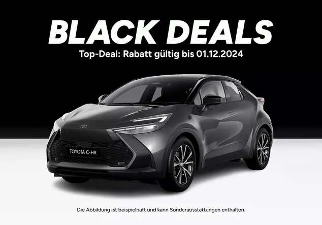 Angebotsdetails Toyota C-HR marlin grau