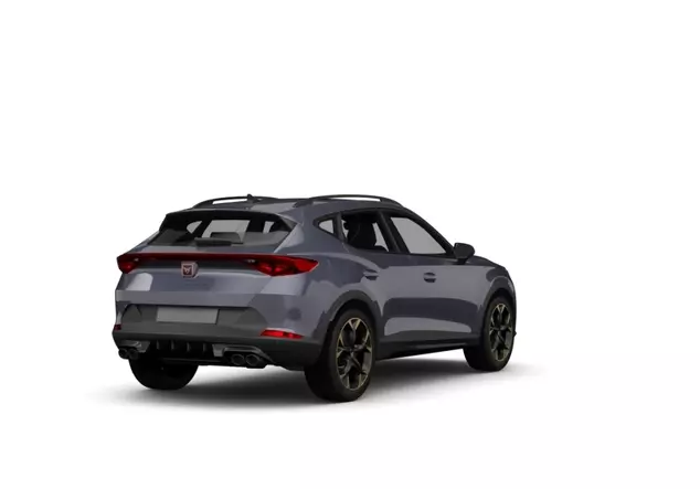 Angebotsdetails Cupra Cupra Graphene Grau