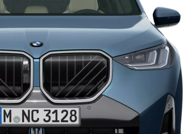 Angebotsdetails BMW X3 xDrive20d Arctic Race Blue Metallic