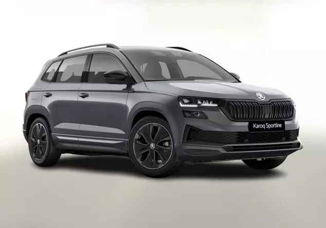 Angebotsdetails Skoda Karoq TSI NavCol vEHK Grau