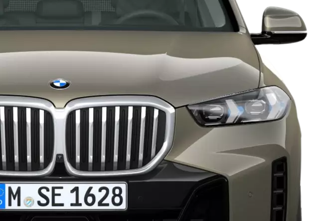 Angebotsdetails BMW X5 xDrive30d Manhattan Metallic