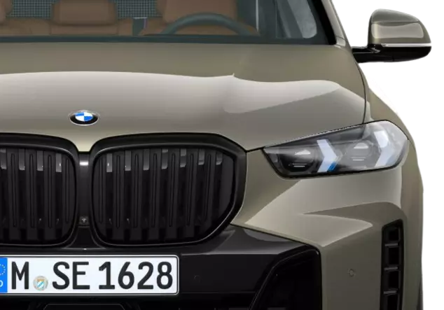 Angebotsdetails BMW X5 xDrive30d Manhattan Metallic