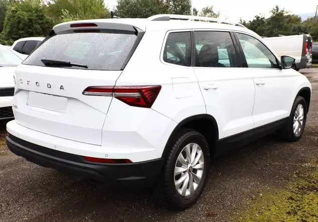 Angebotsdetails Skoda Karoq TDI 116 Selec VirC SunS Weiß