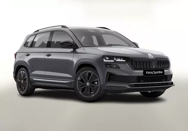 Angebotsdetails Skoda Karoq TSI NavCol vEHK Grau