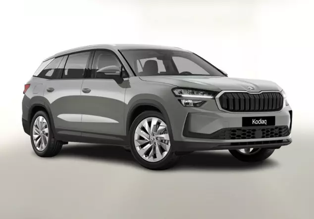 Angebotsdetails Skoda Kodiaq TDI 193 Selec NewModel 19 Grau