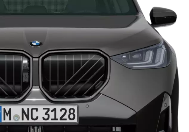 Angebotsdetails BMW X3 xDrive20i AT Sophistograu Brillanteffekt metallic