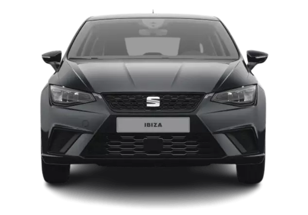 Angebotsdetails Seat Ibiza 1.0 TSI 85kW Style Edition Magnetic Grau Metallic