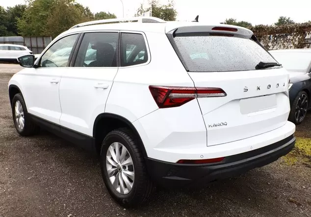 Angebotsdetails Skoda Karoq TDI 116 Selec VirC SunS Weiß