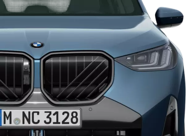 Angebotsdetails BMW X3 xDrive20d Arctic Race Blue Metallic