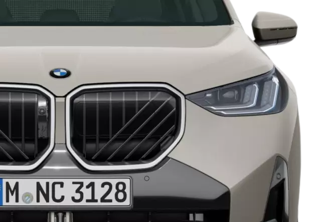 Angebotsdetails BMW X3 xDrive20i AT Dune Gray Metallic