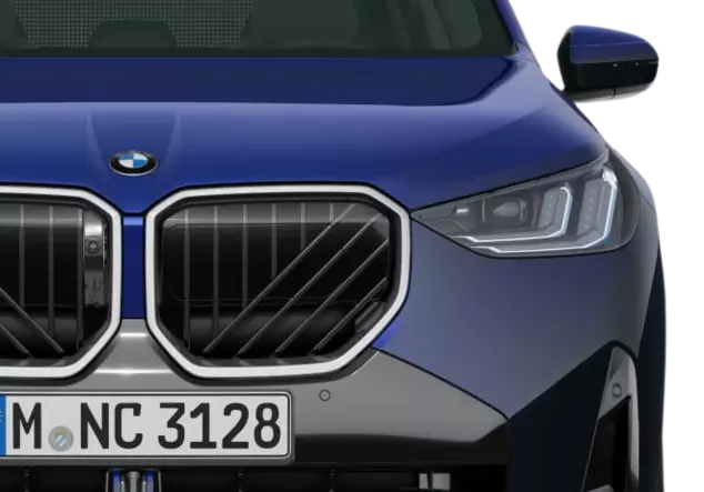 Angebotsdetails BMW X3 xDrive20d Tansanitblau II metallic