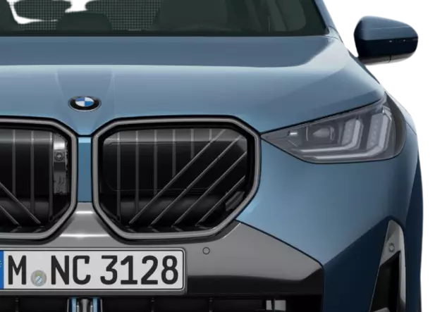 Angebotsdetails BMW X3 xDrive20d Arctic Race Blue Metallic