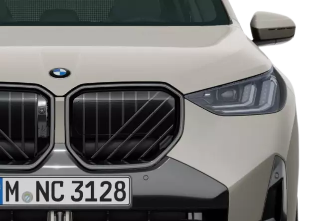 Angebotsdetails BMW X3 xDrive20d Dune Gray Metallic