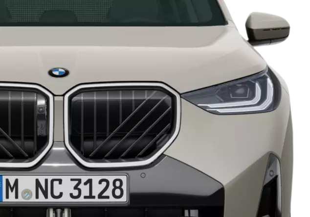 Angebotsdetails BMW X3 xDrive20d Dune Gray Metallic