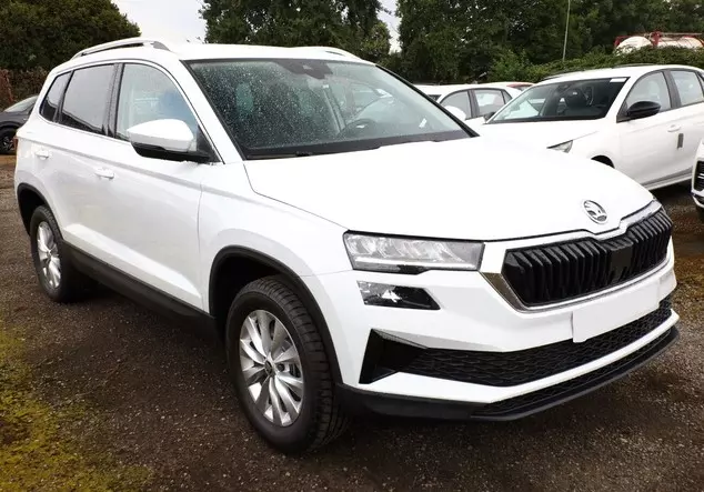 Angebotsdetails Skoda Karoq TDI 116 Selec VirC SunS Weiß