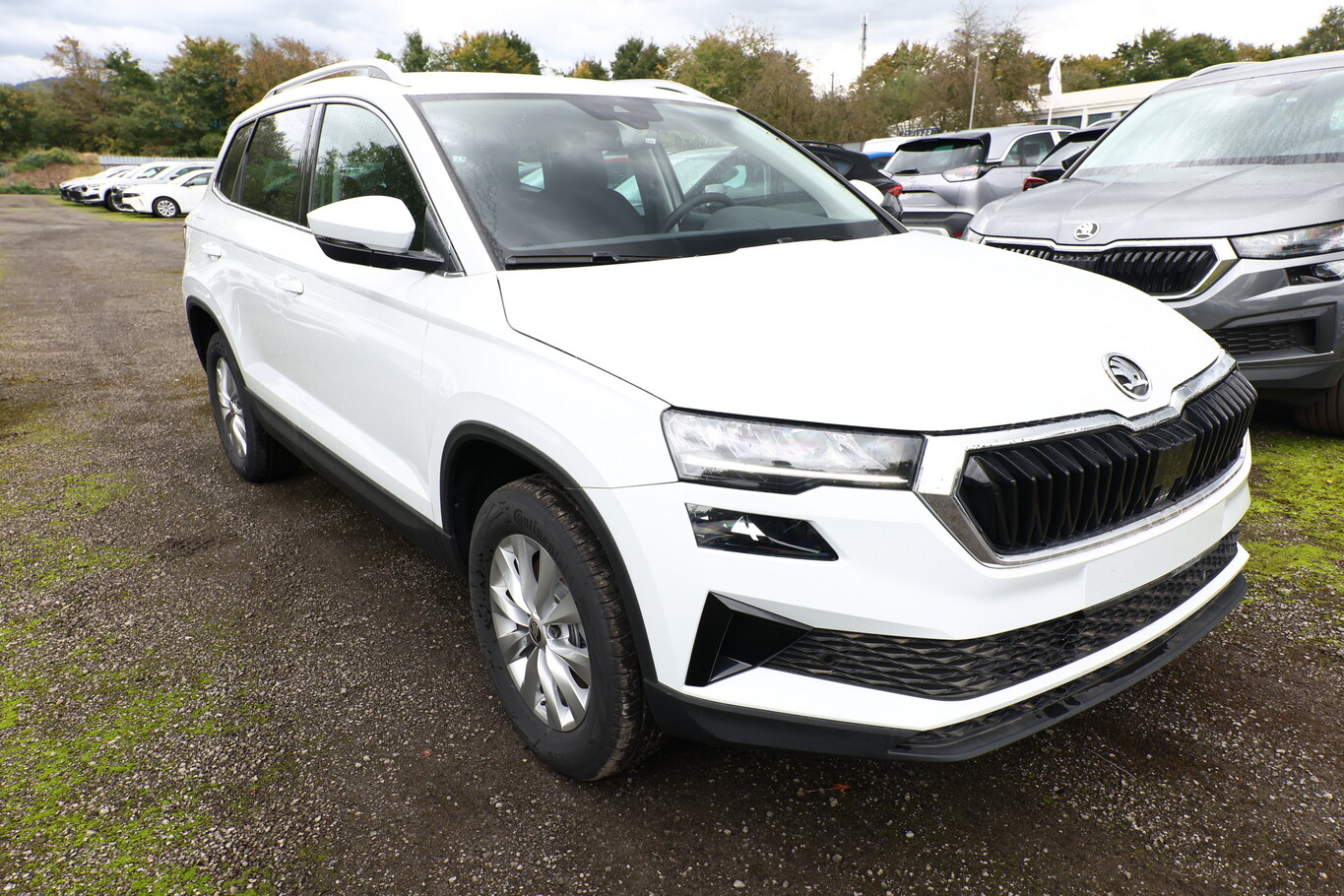 Angebotsdetails Skoda Karoq TSI 150 Selec VirC SunS Weiß