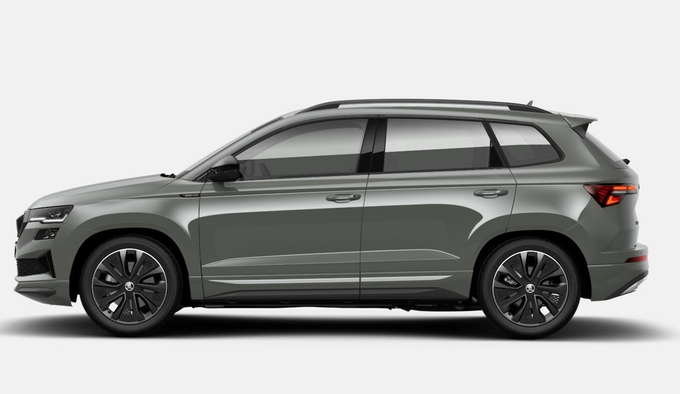 Angebotsdetails Skoda Karoq TSI NavCol vEHK Grau