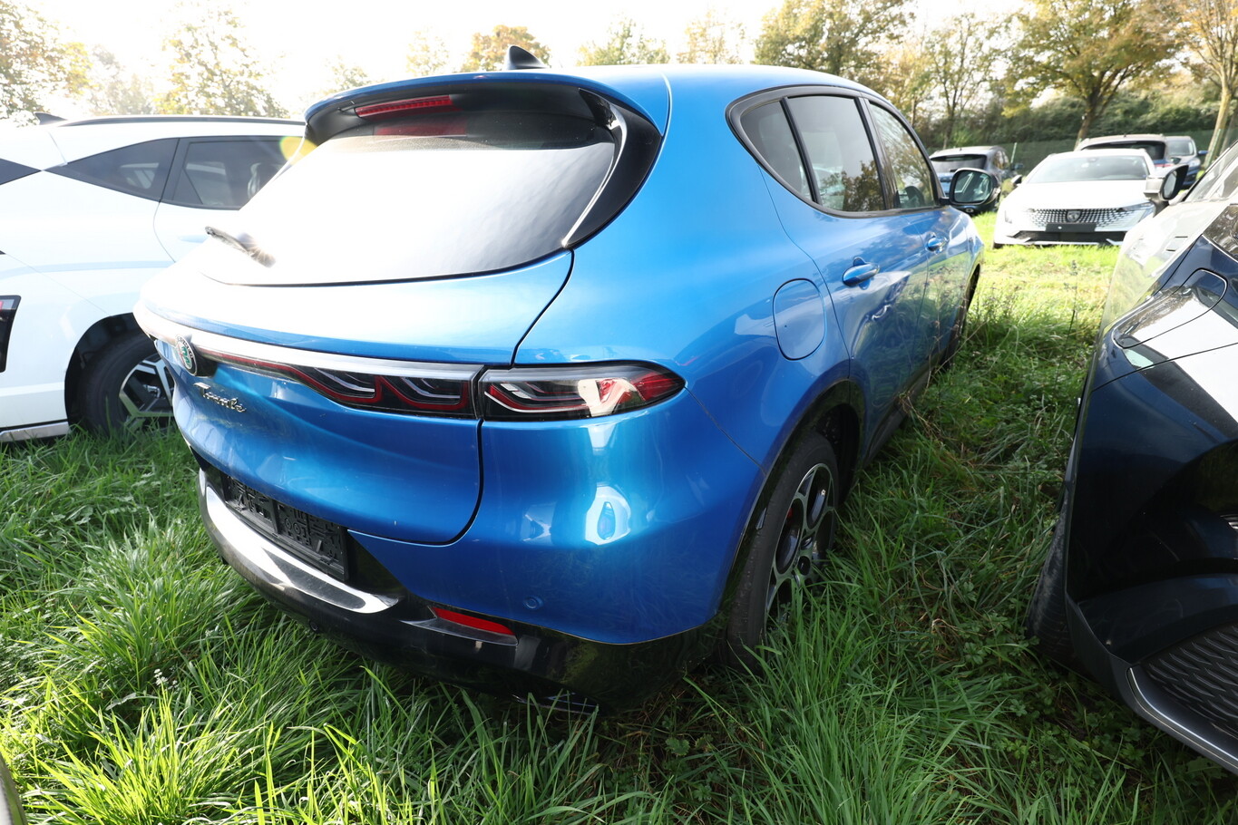 Angebotsdetails Alfa Romeo Tonale Blau