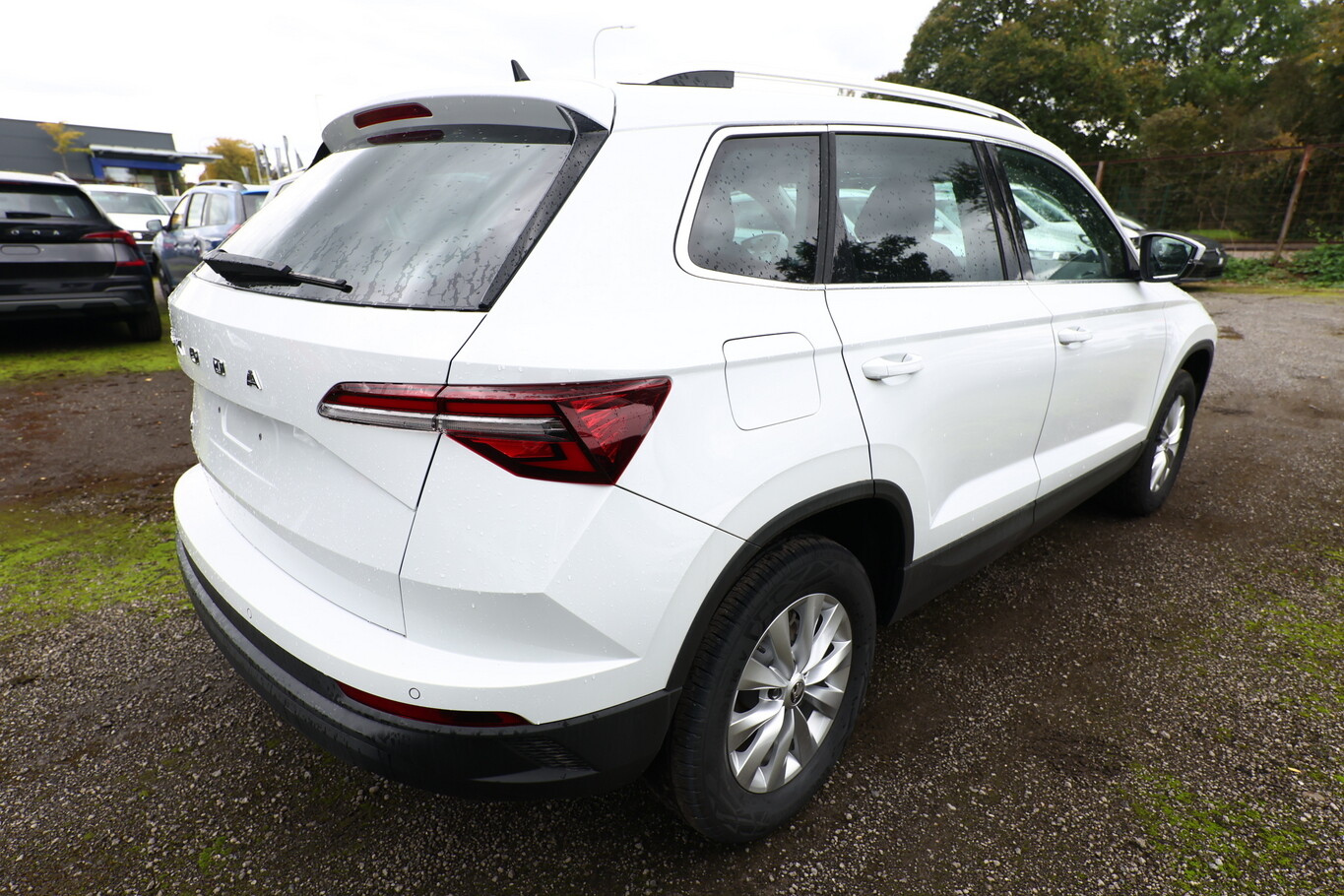 Angebotsdetails Skoda Karoq TSI 150 Selec VirC SunS Weiß