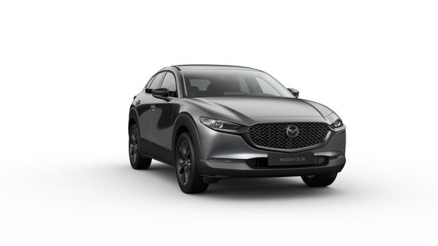 Angebotsdetails Mazda CX-30 Machine Gray