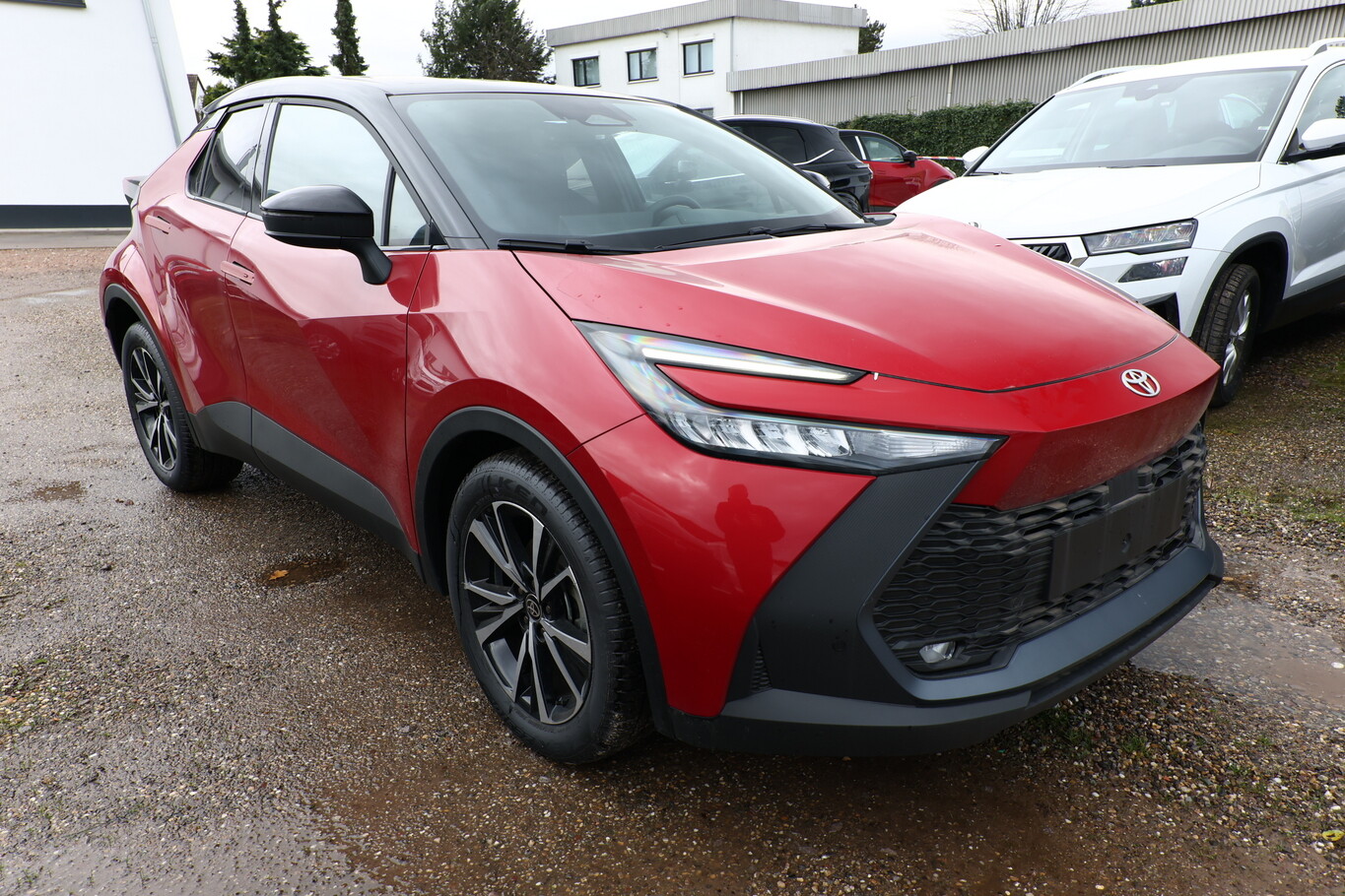 Angebotsdetails Toyota C-HR Rot