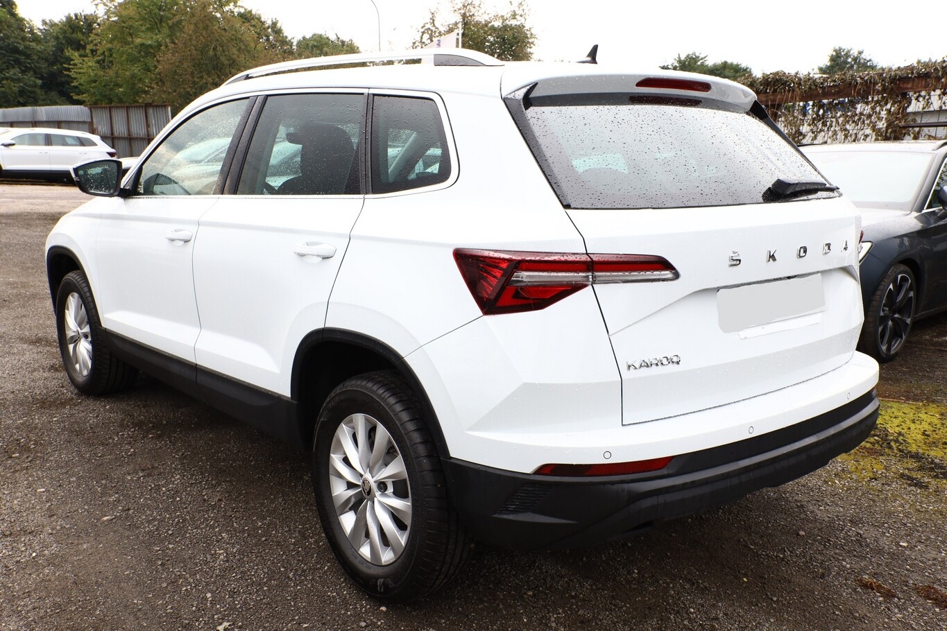 Angebotsdetails Skoda Karoq TDI 116 Selec VirC SunS Weiß