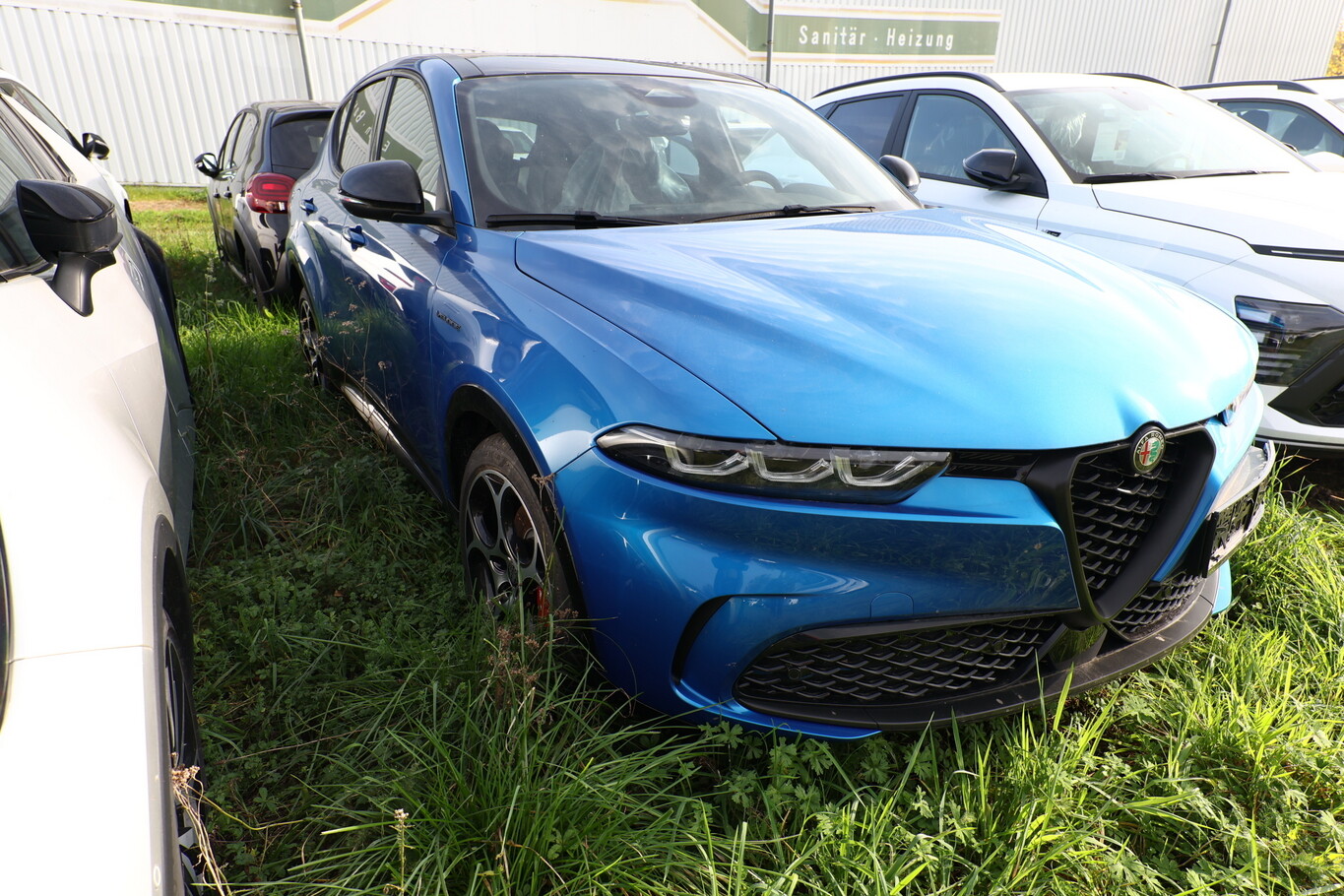 Angebotsdetails Alfa Romeo Tonale Blau