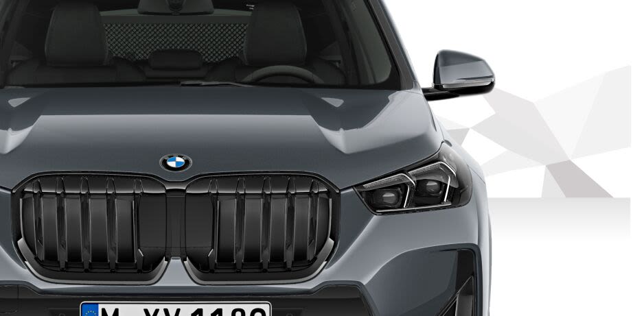 Angebotsdetails BMW X1 sDrive20i Steptronic BMW Individual Storm Bay metallic