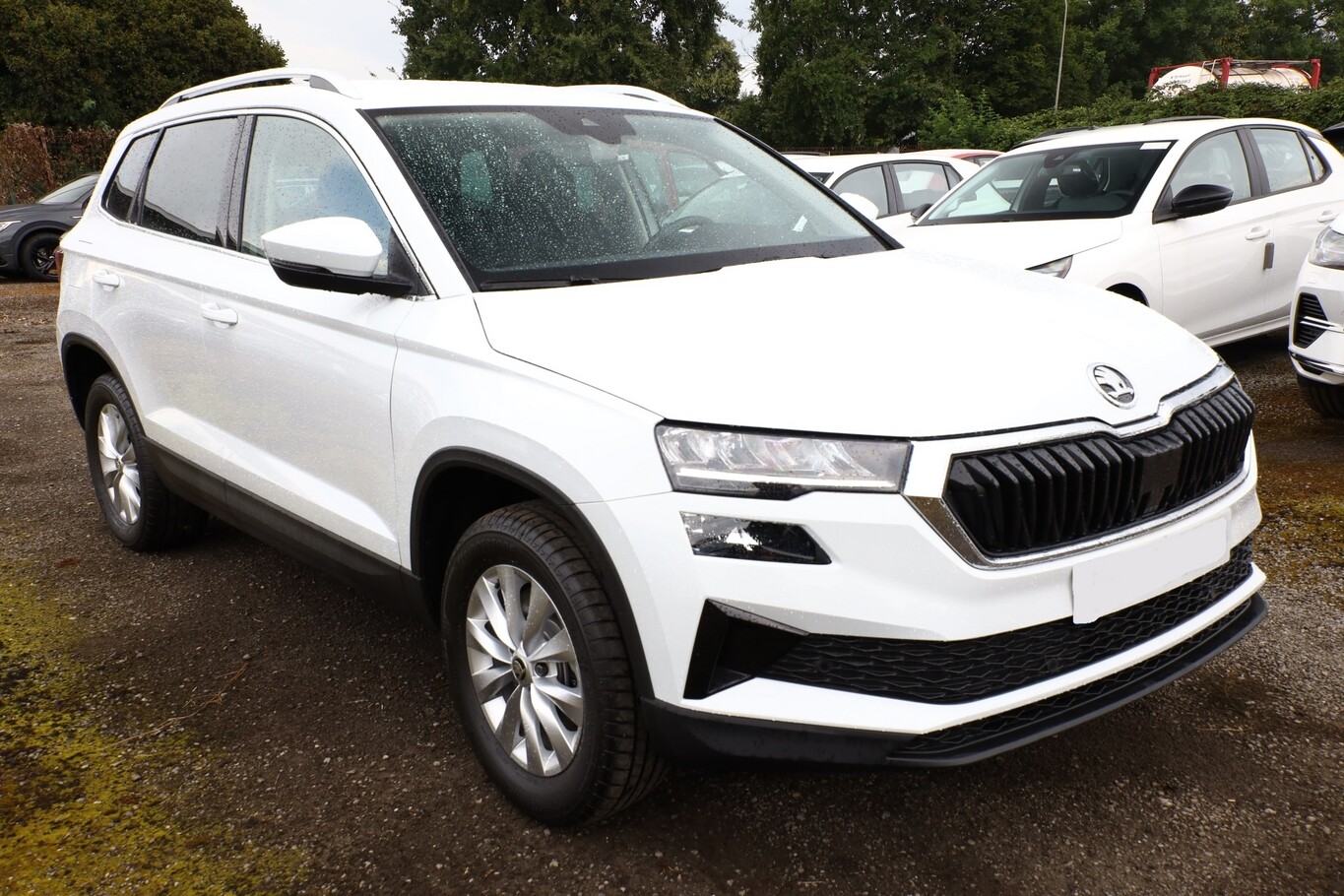 Angebotsdetails Skoda Karoq TDI 116 Selec VirC SunS Weiß