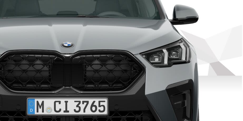 Angebotsdetails BMW X2 xDrive20d Advantage Steptronic Skyscraper Grau metallic