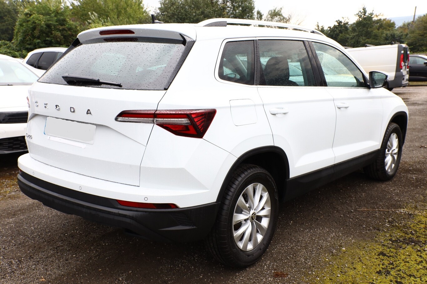 Angebotsdetails Skoda Karoq TDI 116 Selec VirC SunS Weiß