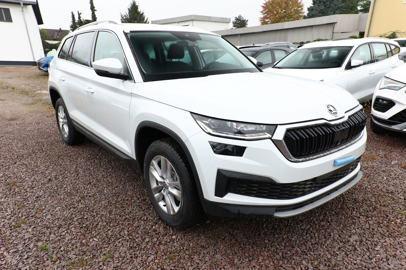 Angebotsdetails Skoda Kodiaq TDI 150 Amb Weiß