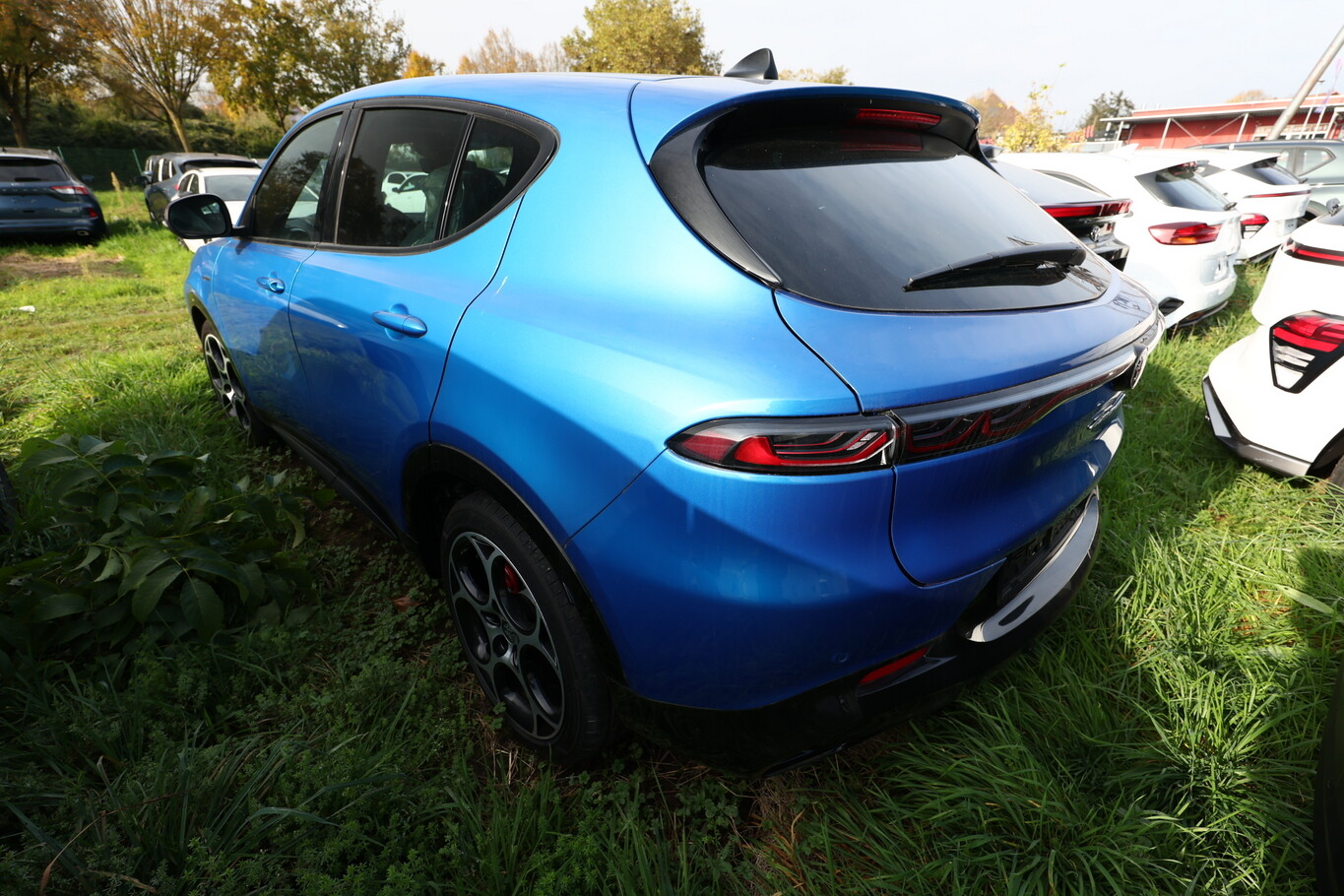 Angebotsdetails Alfa Romeo Tonale Blau