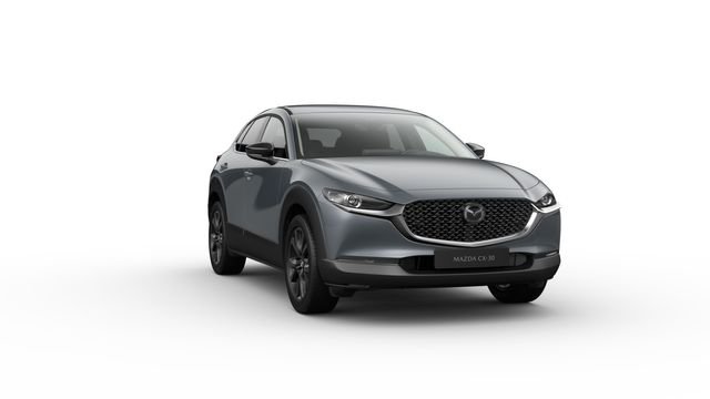 Angebotsdetails Mazda CX-30 POLYMETAL GRAY